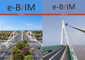 Lee más sobre el artículo e-BrIM Octubre 2026